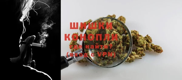сатива Надым