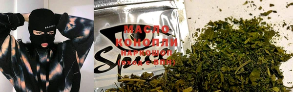 сатива Надым