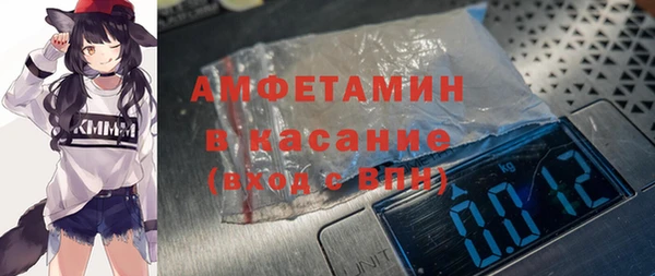 сатива Надым