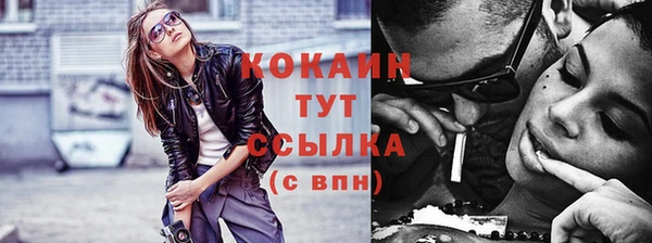сатива Надым