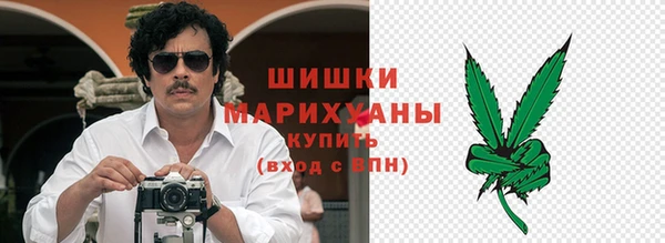 индика Туринск