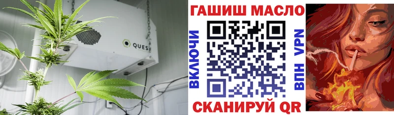 ТГК гашишное масло  продажа наркотиков  ОМГ ОМГ ссылка  Богучар 